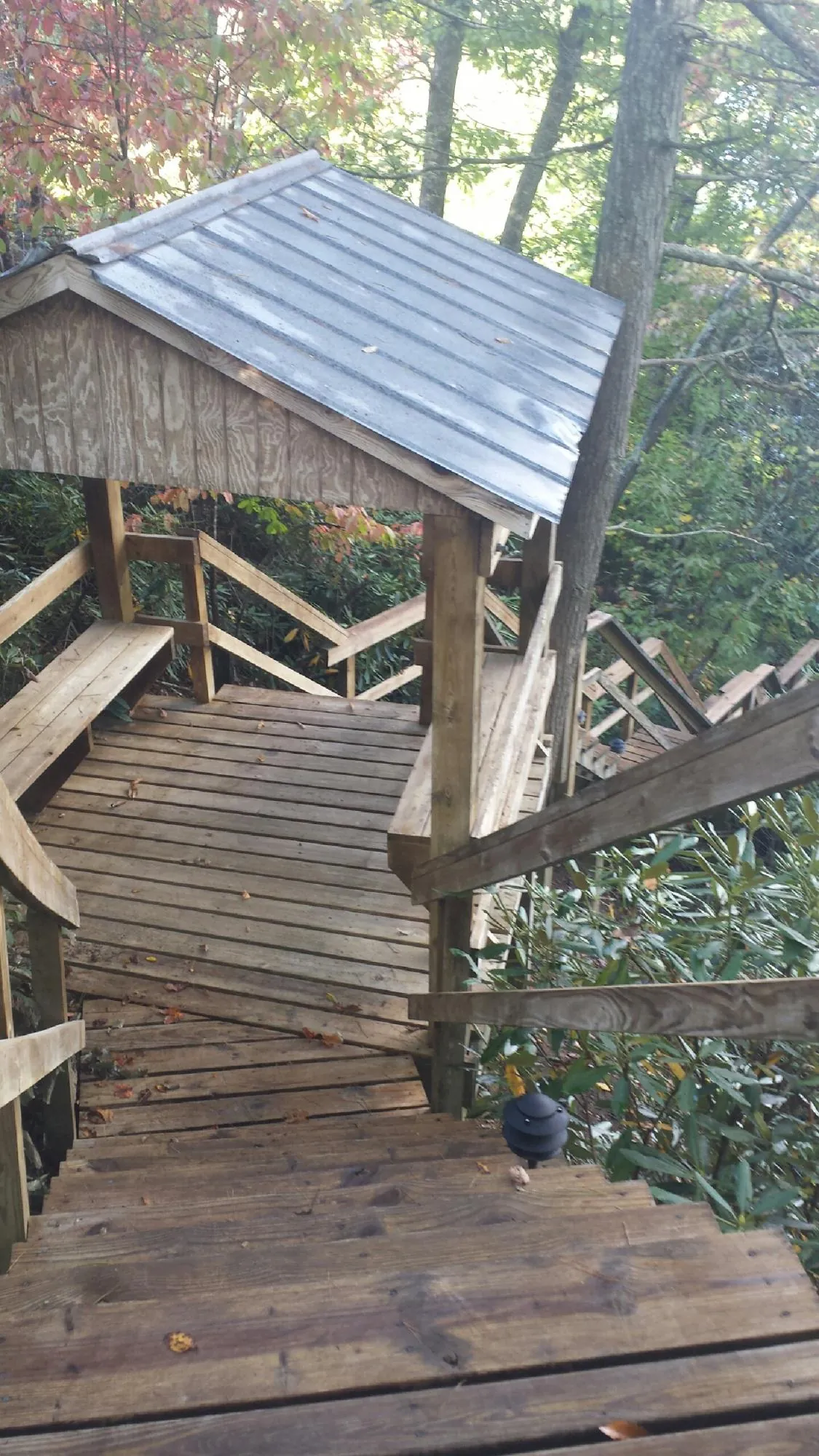 Metal roofed shelter over wooden steps on a wooded walkway — Skylight Repair & Installation work by our crew in Woodbourne
